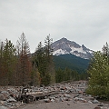 Camping at Still Creek 027